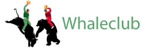 Обзор брокера форекс Whaleclub