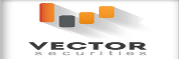 Обзор брокера форекс Vector Securities Ltd